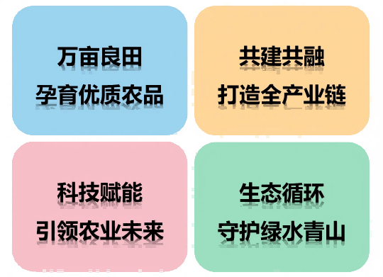 图片25(1).png